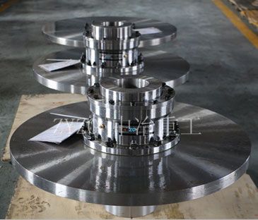 WGP   The brake disk and drum gear coupling